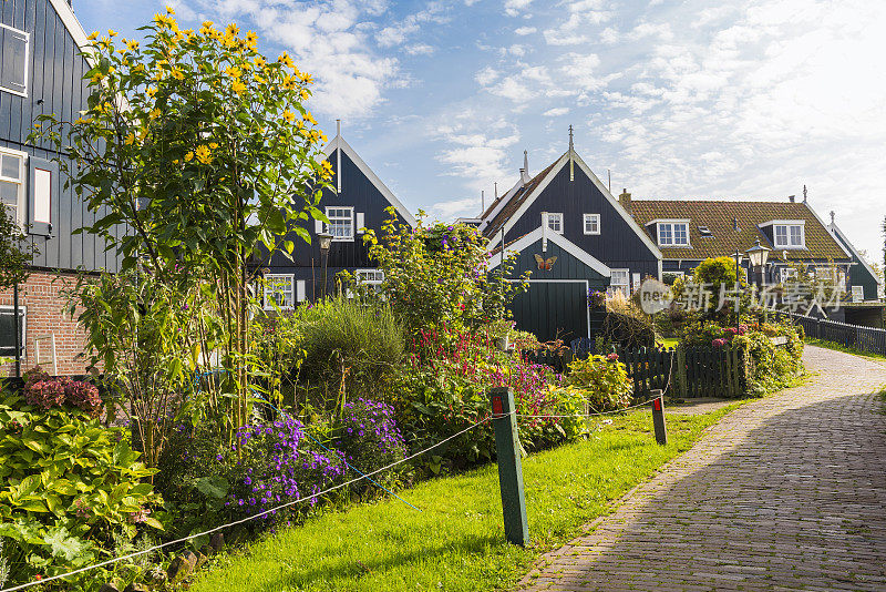 软炭质页岩。荷兰Marken island Waterland美丽而典型的渔村房屋。